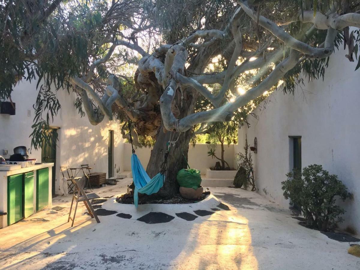 Апартаменты Patio I Ла-Асомада Экстерьер фото